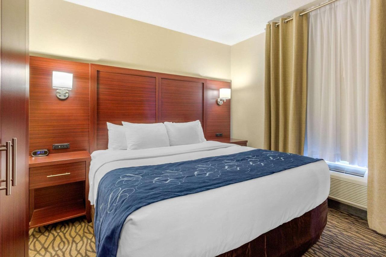 Comfort Suites Downtown Windsor Dış mekan fotoğraf